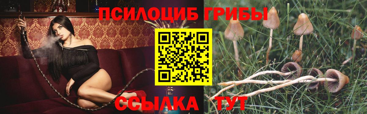 где купить   Галлюциногенные грибы мухоморы  Комсомольск-на-Амуре  Вход с VPN  Псилоцибиновые грибы ЛСД 