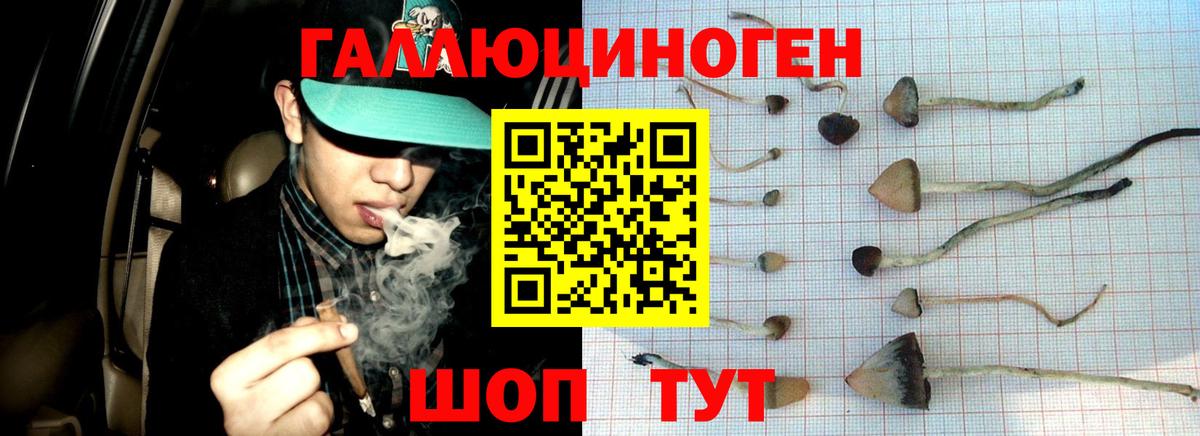 Псилоцибиновые грибы Cubensis Комсомольск-на-Амуре
